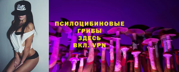 крисы Нефтекумск