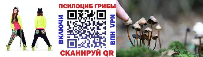 Псилоцибиновые грибы GOLDEN TEACHER  Усть-Кут 